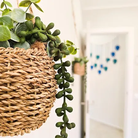 Casa Safia - & Center - Ac, Wifi Apartamento